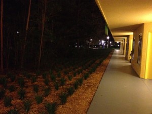 IMG_3001