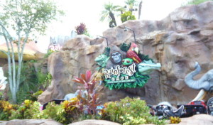 Rainforest café - DTD