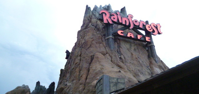 Rainsforest Café – DownTown Disney