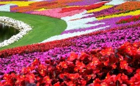 Epcot International Flowers & Garden Festival – Epcot