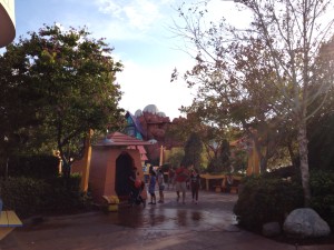 IMG_5631