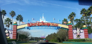 entrada de walt disney